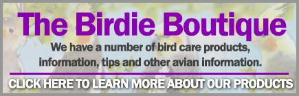The Birdie Boutique: Bird Care in Durnham, NC